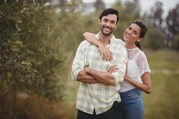 Молода пара стоїть на оливковій фермі — стокове фото