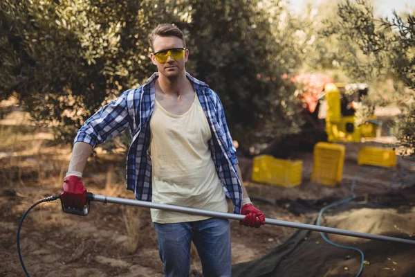 Hombre seguro usando rastrillo en la granja de olivos — Foto de Stock