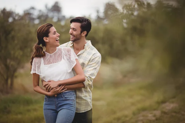 Casal alegre em pé no campo na fazenda de azeitona — Fotografia de Stock