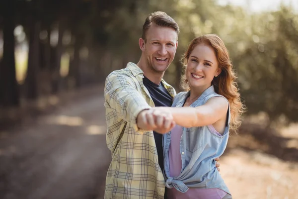 Par som dansar på olivgård — Stockfoto