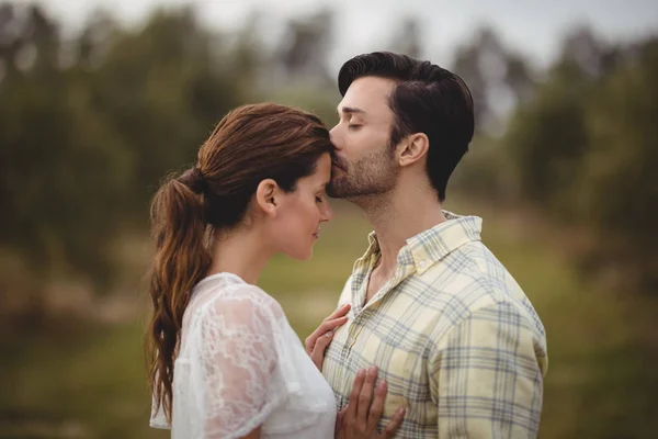 Novio besando novia en campo en oliva granja — Foto de Stock