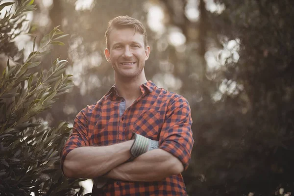 Confident young man standing by olive tree — Stock Photo, Image