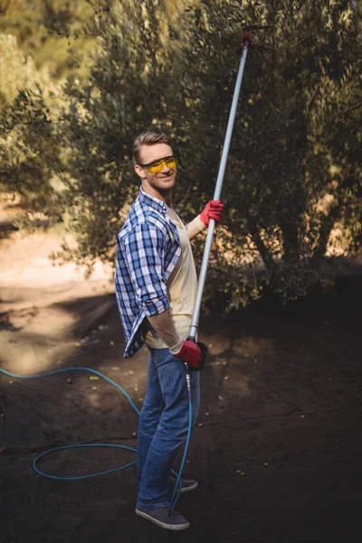 Homme utilisant le râteau d'olive à la ferme — Photo