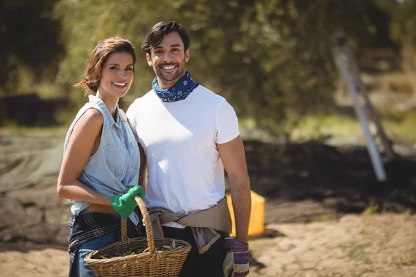 Pareja sosteniendo cesta de mimbre en la granja de olivos — Foto de Stock