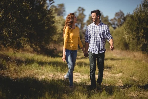 Пара держится за руки на оливковой ферме — стоковое фото
