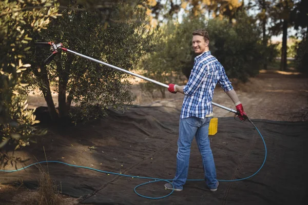 Jonge man met behulp van olijf hark op boerderij — Stockfoto