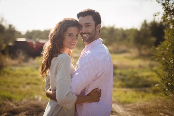 オリーブ農園で包含のカップル — ストック写真