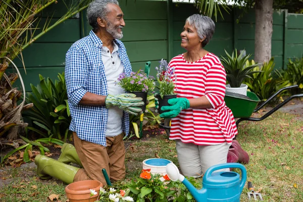 Pareja de ancianos tenencia plantas — Foto de Stock