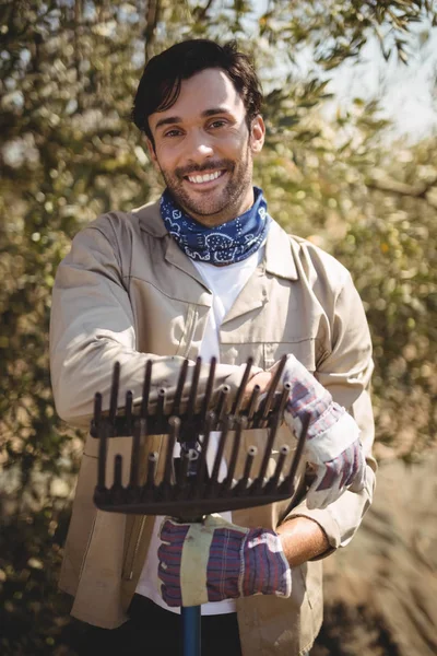 Homme avec râteau debout à la ferme d'olivier — Photo