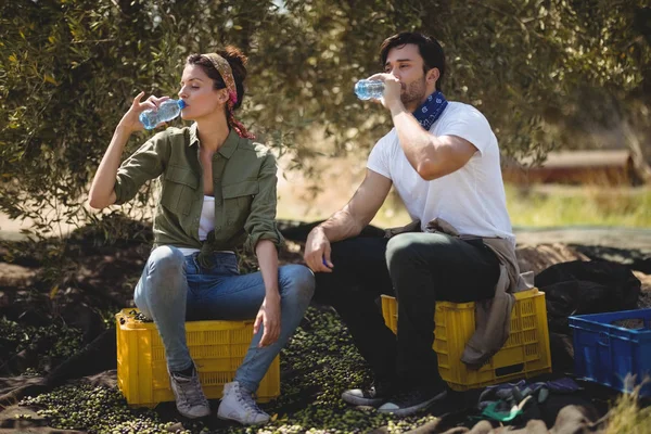 Pareja de agua potable mientras está sentado en cajas —  Fotos de Stock