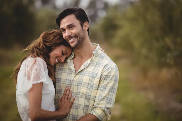 Casal abraçando na fazenda de azeitona — Fotografia de Stock