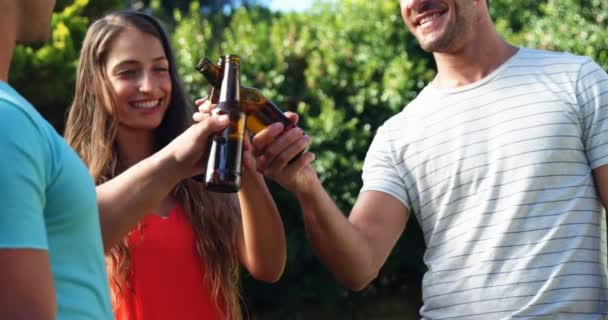 Gruppe von Freunden prostet Bierflaschen zu — Stockvideo