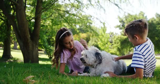 Geschwister spielen mit ihrem Hund — Stockvideo