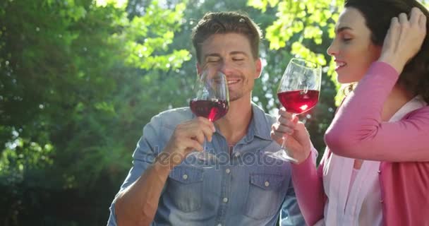 Pareja tomando vino tinto en el parque — Vídeos de Stock