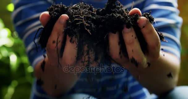 Woman holding fertile soil — Stock Video