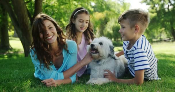 自分の犬と遊ぶ家族 — ストック動画