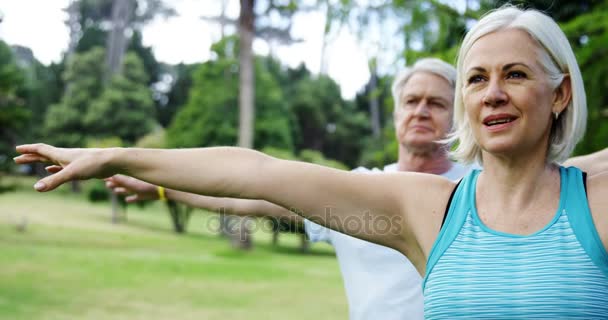 Couple de personnes âgées faisant de l'exercice dans le parc — Video