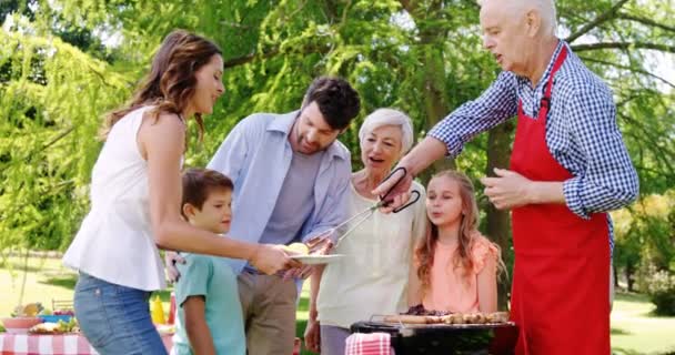 Familia multigeneracional almorzando en el parque — Vídeos de Stock