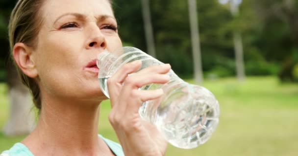 Kadın sporcu su içiyor. — Stok video