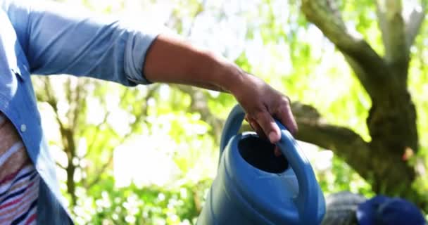 Aîné couple arrosage plantes avec arrosoir — Video