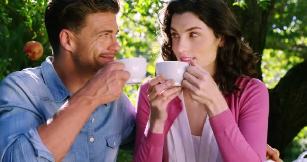 Романтическая пара пьет чай в парке — стоковое видео