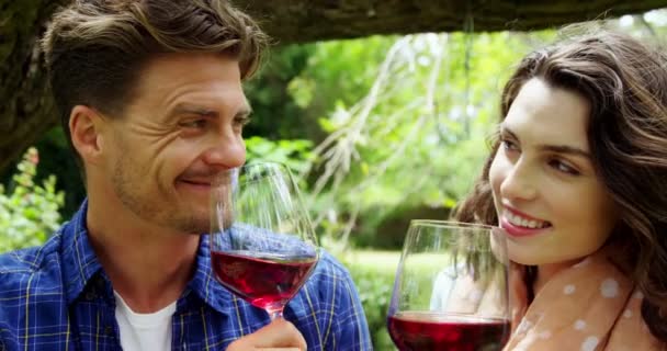 Casal tendo vinho tinto no parque — Vídeo de Stock
