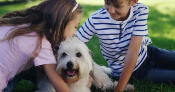 Broers en zussen spelen met hun hond in park — Stockvideo