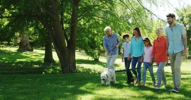 Flergenerations familjen promenader med sin hund — Stockvideo