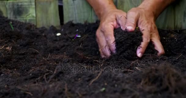 Homem sênior cavando no solo para cavar planta — Vídeo de Stock