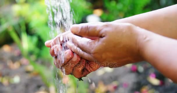 Senior kvinna tvättar händerna — Stockvideo