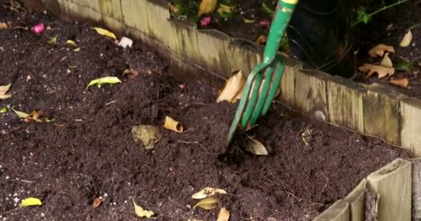 Persona che mescola terreno con forchetta in giardino — Video Stock