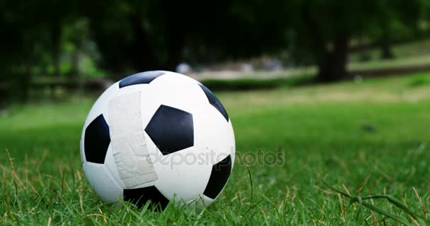 男孩在公园踢足球 — 图库视频影像