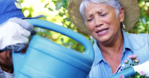 年长的夫妇用喷壶浇水 — 图库视频影像