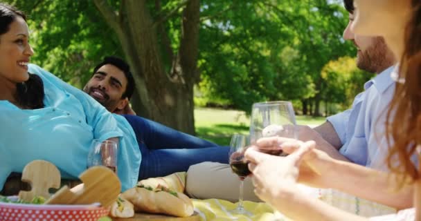 Kırmızı şarap parkta sahip çiftler — Stok video