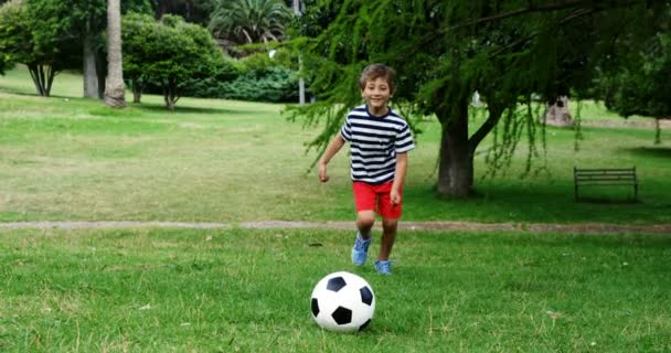 Pojke spelar fotboll i parken — Stockvideo