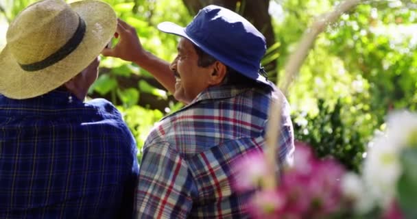 Ανώτερος ζευγάρι λαμβάνοντας μια selfie στον κήπο — Αρχείο Βίντεο