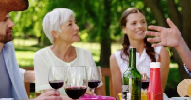 Family having meal in the park — Stock Video