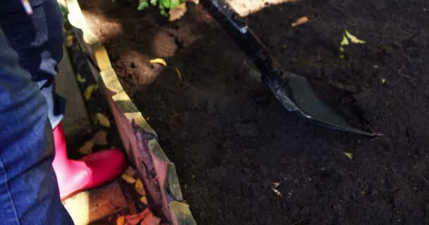 Homem sênior cavando no solo para cavar planta — Vídeo de Stock