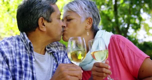 Senior paar zoenen terwijl het drinken van wijn — Stockvideo