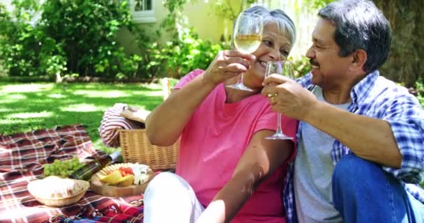 Ηλικιωμένο ζευγάρι πίνει κρασί — Αρχείο Βίντεο