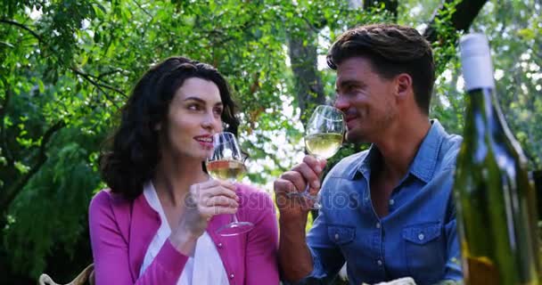 Casal tendo vinho branco no parque — Vídeo de Stock