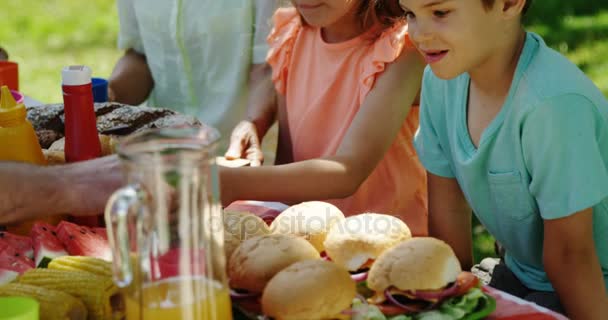 Familia almorzando en el parque — Vídeo de stock