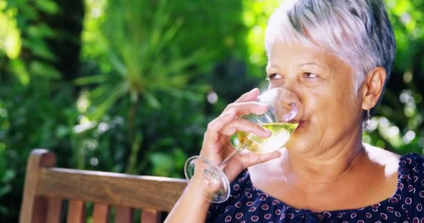 Seniorin trinkt Wein — Stockvideo