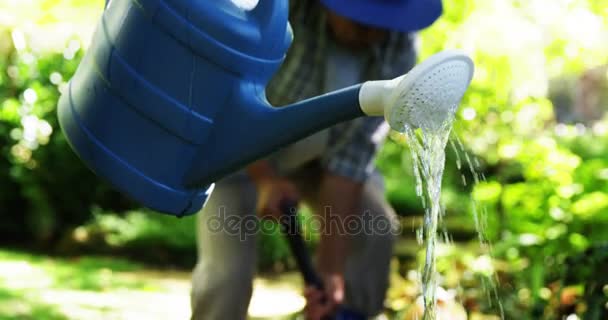 シニア カップルじょうろで植物に水をまく — ストック動画