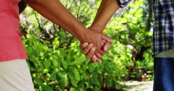 Pareja mayor caminando de la mano en el parque — Vídeo de stock