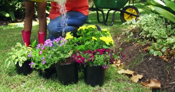 Abuela y nieta regando plantas — Vídeo de stock