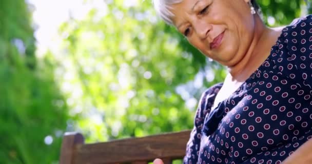 Mulher sênior leitura livro — Vídeo de Stock