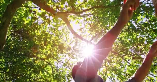 Pareja romántica jugando en parque — Vídeo de stock