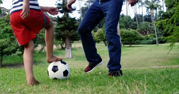 Padre e hijo jugando al fútbol — Vídeos de Stock