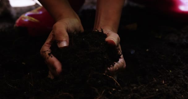 Woman holding fertile soil — Stock Video